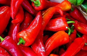 Grillstore Krefeld Grill Rezept