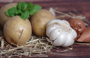 Grillstore Krefeld Grill Rezept