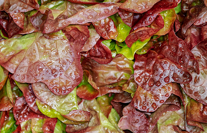 Salat